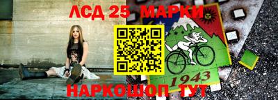 гидропоника Можайск