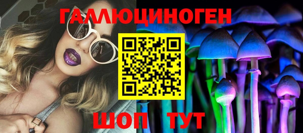 Великие Луки  Псилоцибиновые грибы MAGIC MUSHROOMS  Вход с VPN  Псилоцибиновые грибы прущие грибы 